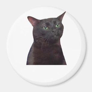 Zoned Out Cat, zoned out Magnet