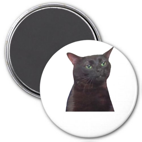 Zoned Out Cat zoned out Magnet