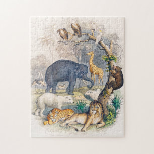 zoo, animal, cute, animals, nature, wildlife kids jigsaw puzzle