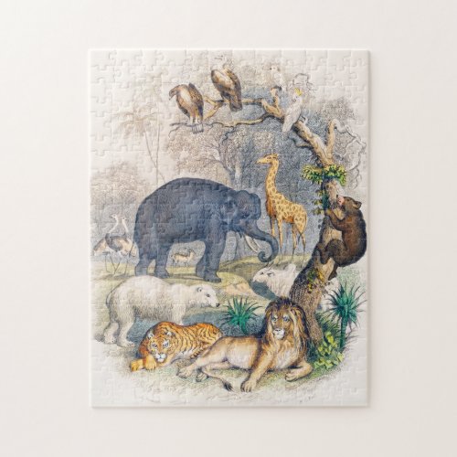 zoo animal cute animals nature wildlife kids jigsaw puzzle