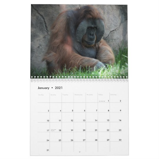Zoo Animal Fun Calendar