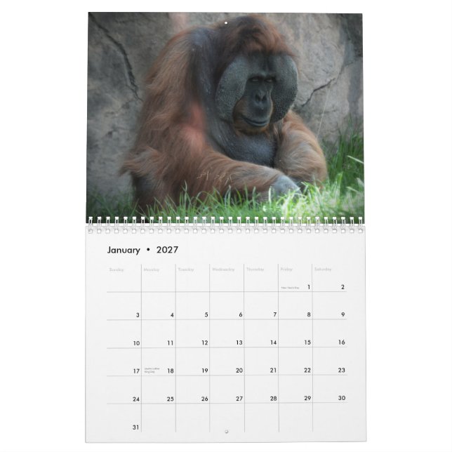 Zoo Animal Fun Calendar (Jan 2027)