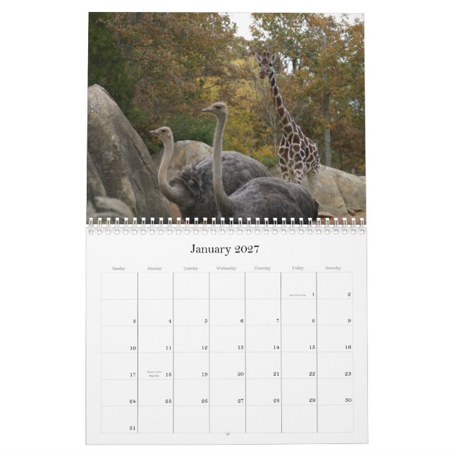 Zoo Animals Calendar (Jan 2027)
