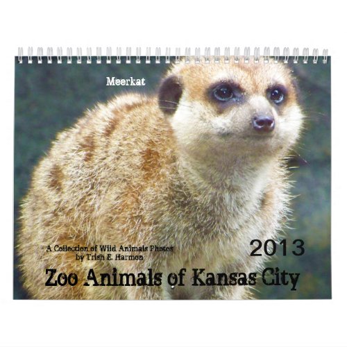 Zoo Animals of Kansas City Calendar