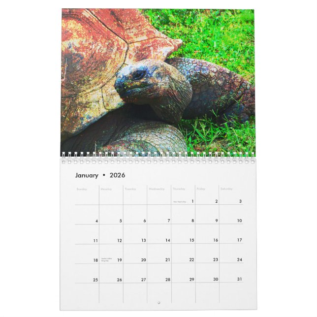 Zoo Animals of Kansas City Calendar (Jan 2026)