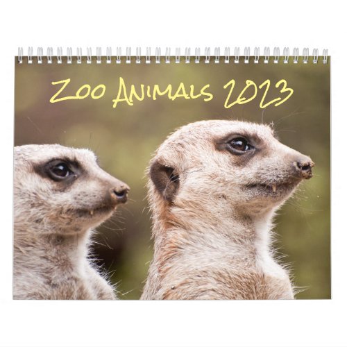 Zoo Animals Photography 2023 Calendar