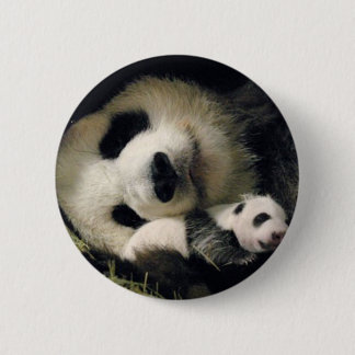 zoo-atlanta_giant_panda_lun-lun_and_cub button