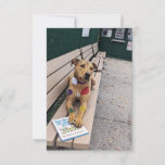 Zoo Cosplay Book Funny Dog Photo Card at Zazzle