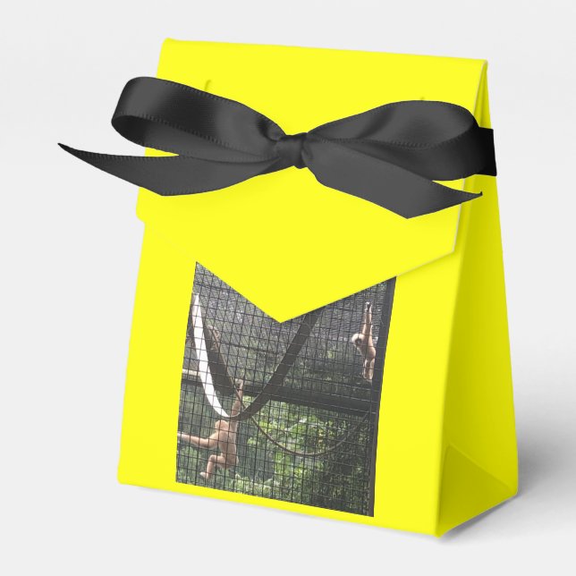 Zoo Love Favor Box (Front Side)