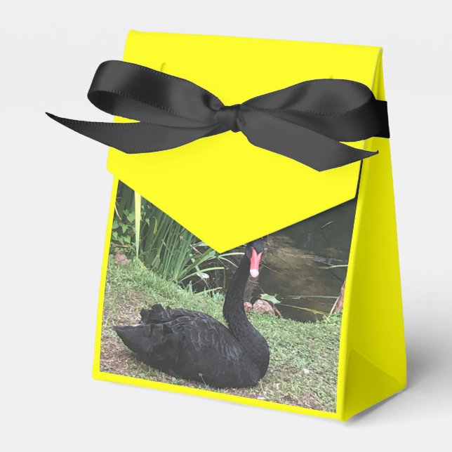 Zoo Love Favor Boxes (Front Side)