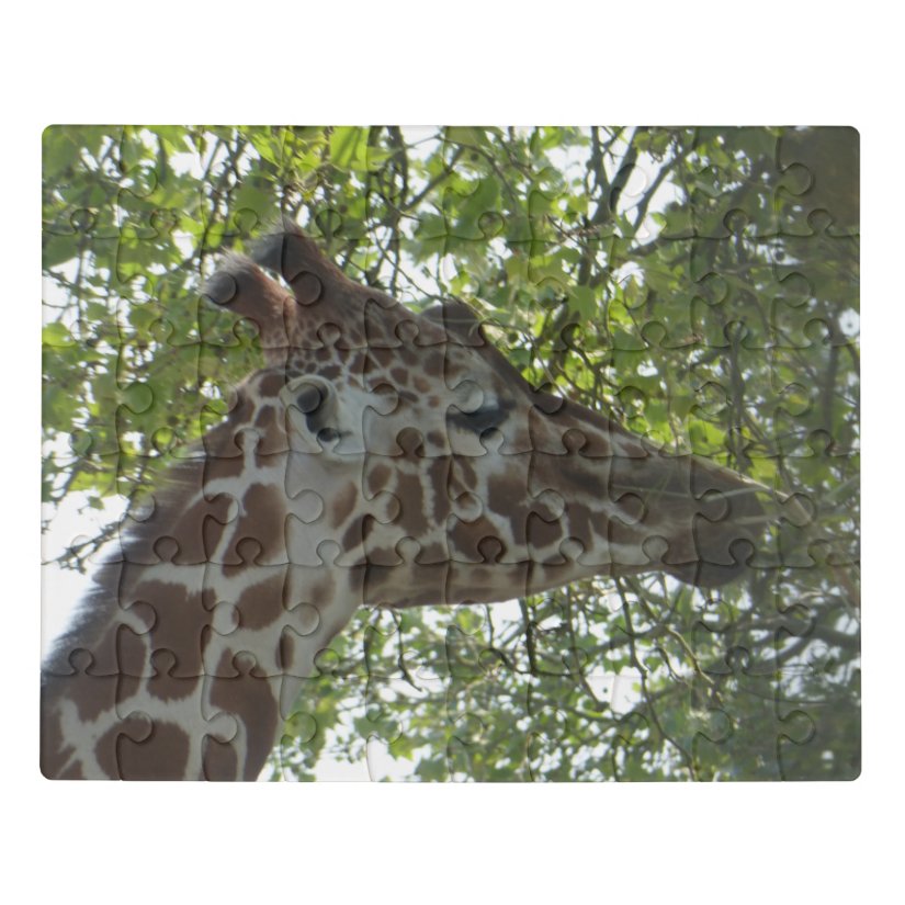 Zoo Puzzle: Cute Giraffe Face Jigsaw Puzzle