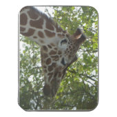 Zoo Puzzle: Cute Giraffe Face Jigsaw Puzzle (Lid Vertical)