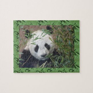 Zoo Puzzle: Cute Panda Jigsaw Puzzle