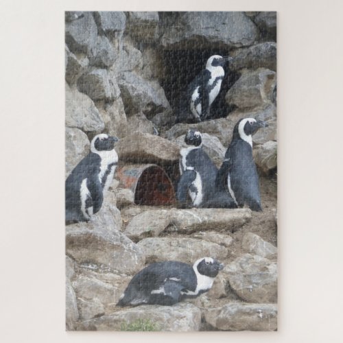 Zoo Puzzle Cute Penguins Jigsaw Puzzle