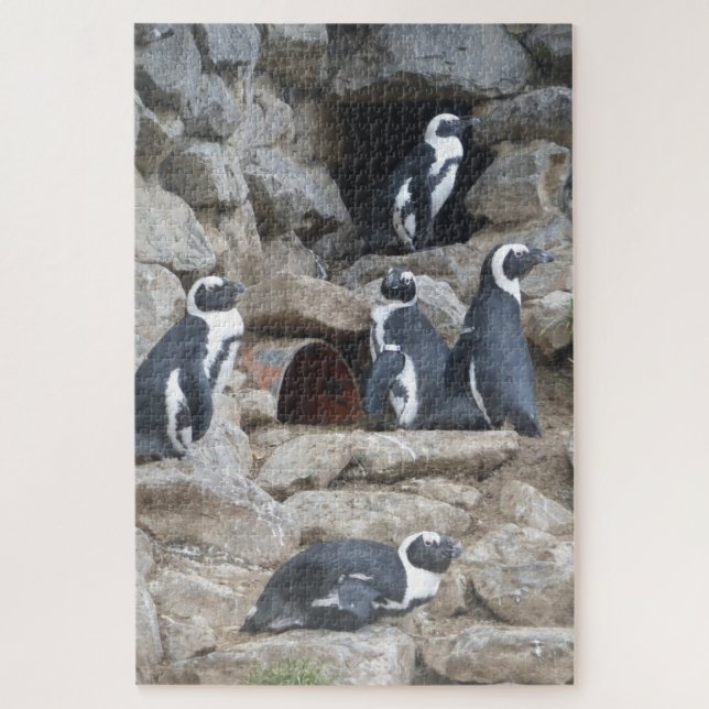 Zoo Puzzle: Cute Penguins Jigsaw Puzzle (Vertical)