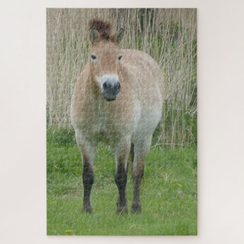 Zoo Puzzle Cute Przewalski Horse Jigsaw Puzzle