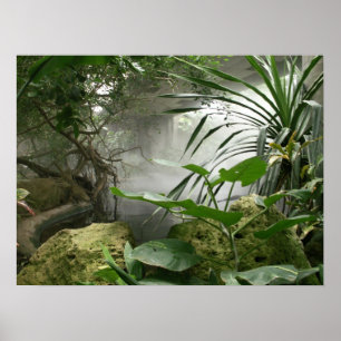 Zoo Rainforest Exhibit Poster