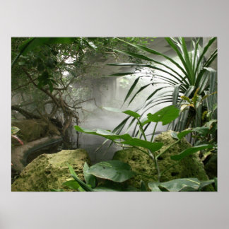 Zoo Rainforest Exhibit Poster