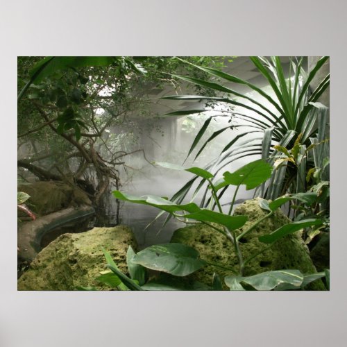 Zoo Rainforest Exhibit Poster