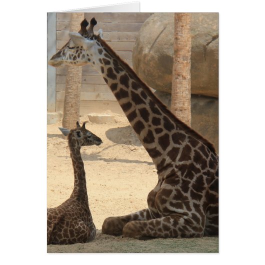 Zoo Series, Baby Giraffe and Mom (Front)