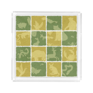 zoo themed pattern acrylic tray