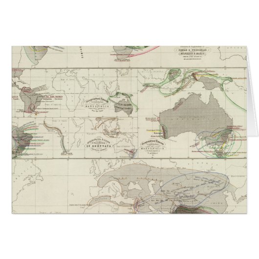 Zoological geography cards (Front Horizontal)