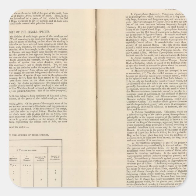 Zoological Geography continued Square Sticker (Front)