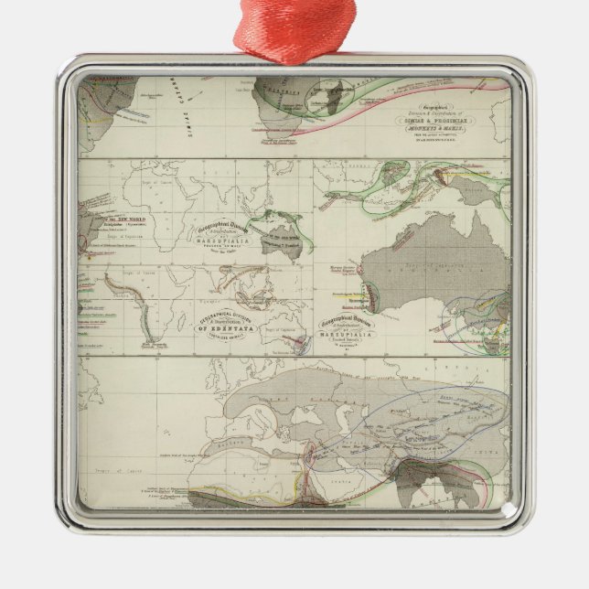 Zoological geography metal ornament (Front)