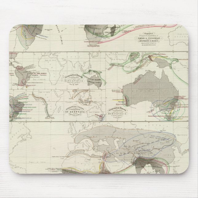 Zoological geography mouse pad (Front)