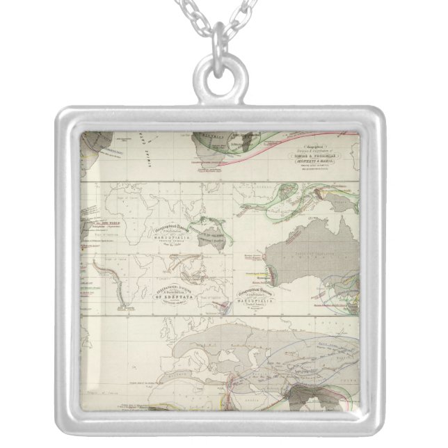 Zoological geography silver plated necklace (Front)