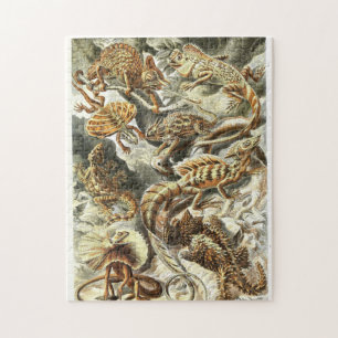 Zoological Sketch Vintage Lizards Jigsaw Puzzle