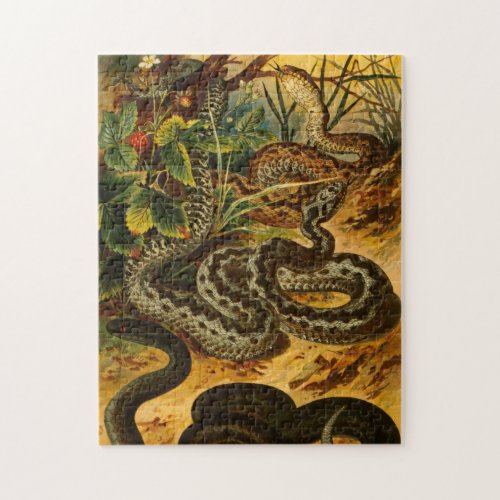 Zoological Sketch Vintage Snake Jigsaw Puzzle