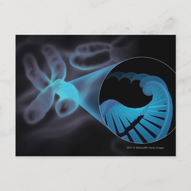 Zoom in of a DNA strand in a chromosome Postcard (Front)