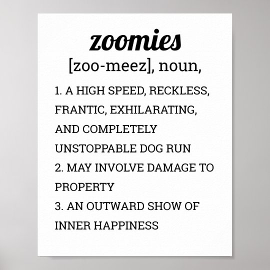 ZOOMIES DEFINITION POSTER