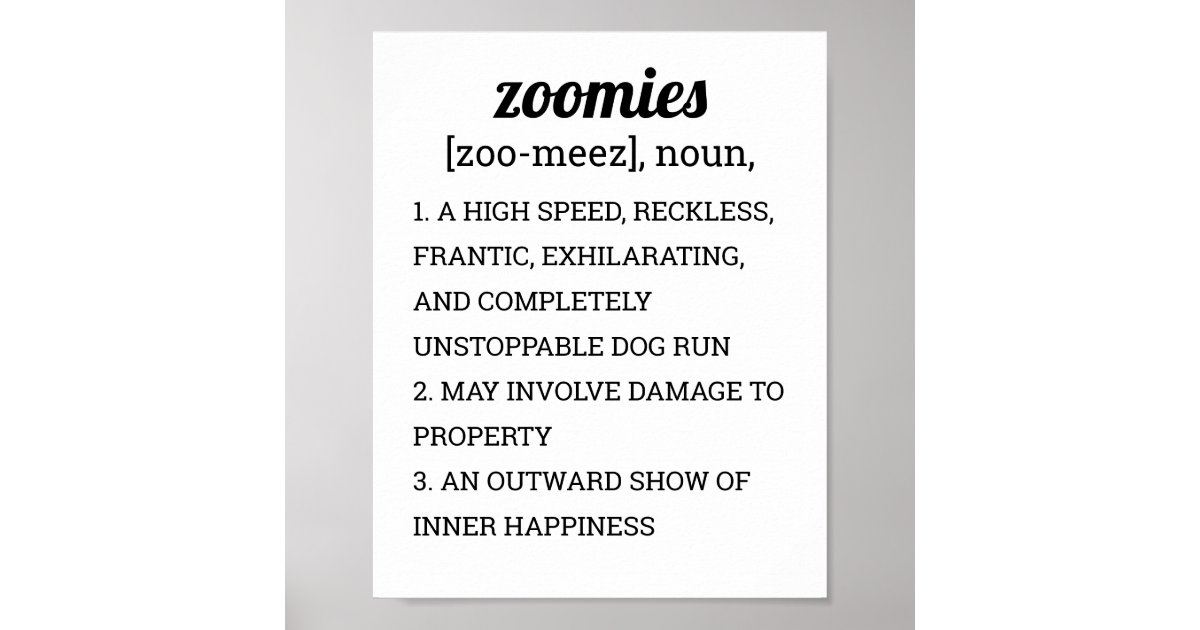 zoomies-definition-poster-zazzle