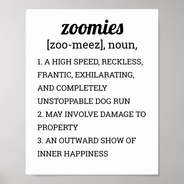 zoomies-definition-poster-zazzle