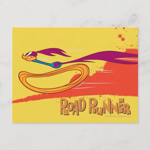 Zooming ROAD RUNNER Postcard