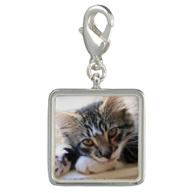 Zorro by the Window Charm (Front)