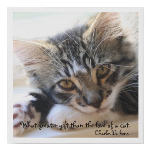 Zorro Kitten By The Window With Quote Canvas Print