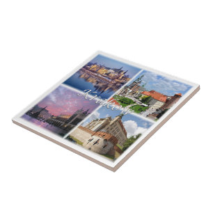 zPL009 KRAKOW, Poland, Europe, Ceramic Tile