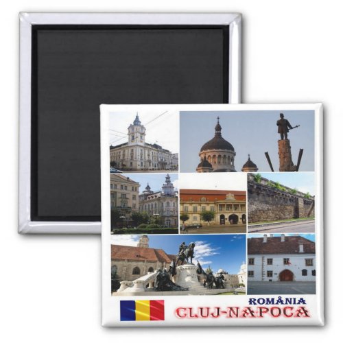 zRO007 CLUJ_NAPOCA Romania Europe Fridge Magnet