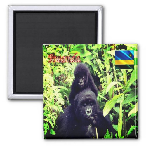 zRW003 RWANDA Gorilla at National Park Fridge Magnet