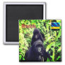 zRW003 RWANDA, Gorilla at National Park, Fridge Magnet