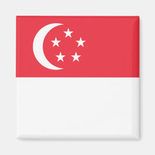 zSG001 Singaporean FLAG Singapore, Fridge Magnet