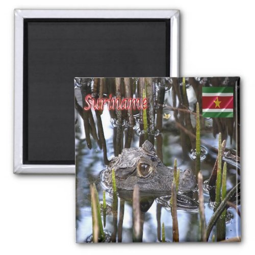 zSR004 SURINAME Bigi_Pan kaaiman America Fridge Magnet