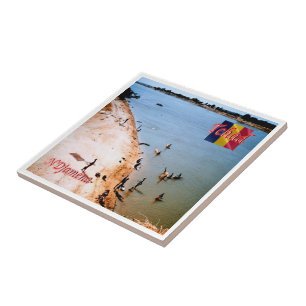 zTD005 N'DJAMENA, Coast beach Chari, Ceramic Tile
