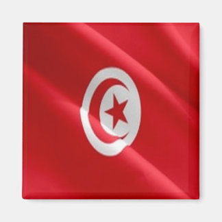 zTN002 TUNISIA, Waving Flag, Africa, Fridge Magnet