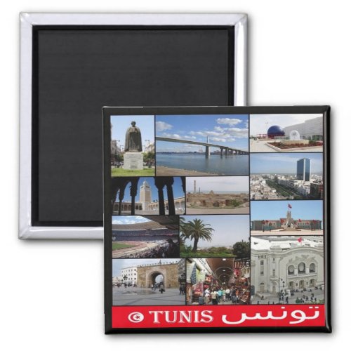 zTN020 TUNIS Mosaic Tunisia Africa Fridge Magn Magnet