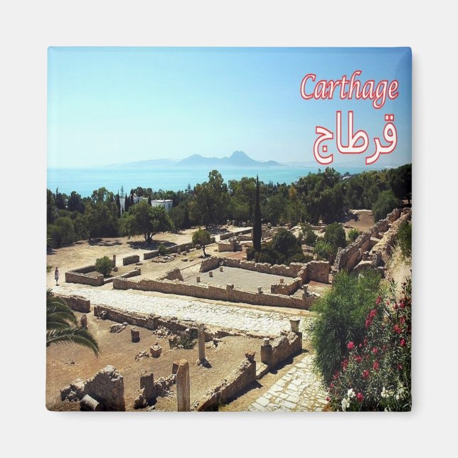zTN022 CARTHAGE, Ruins, Tunisia, Africa, Fridge Magnet (Front)