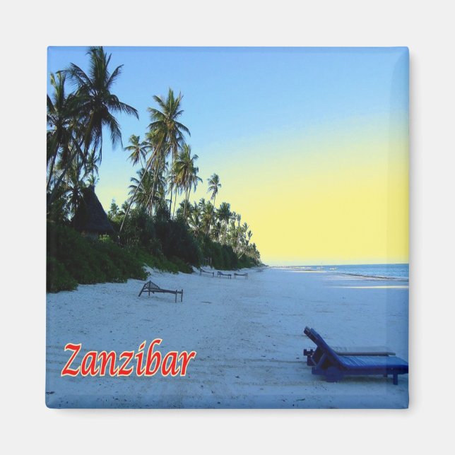 zTZ013 ZANZIBAR, East Coast beach, Tanzania,Fridge Magnet (Front)